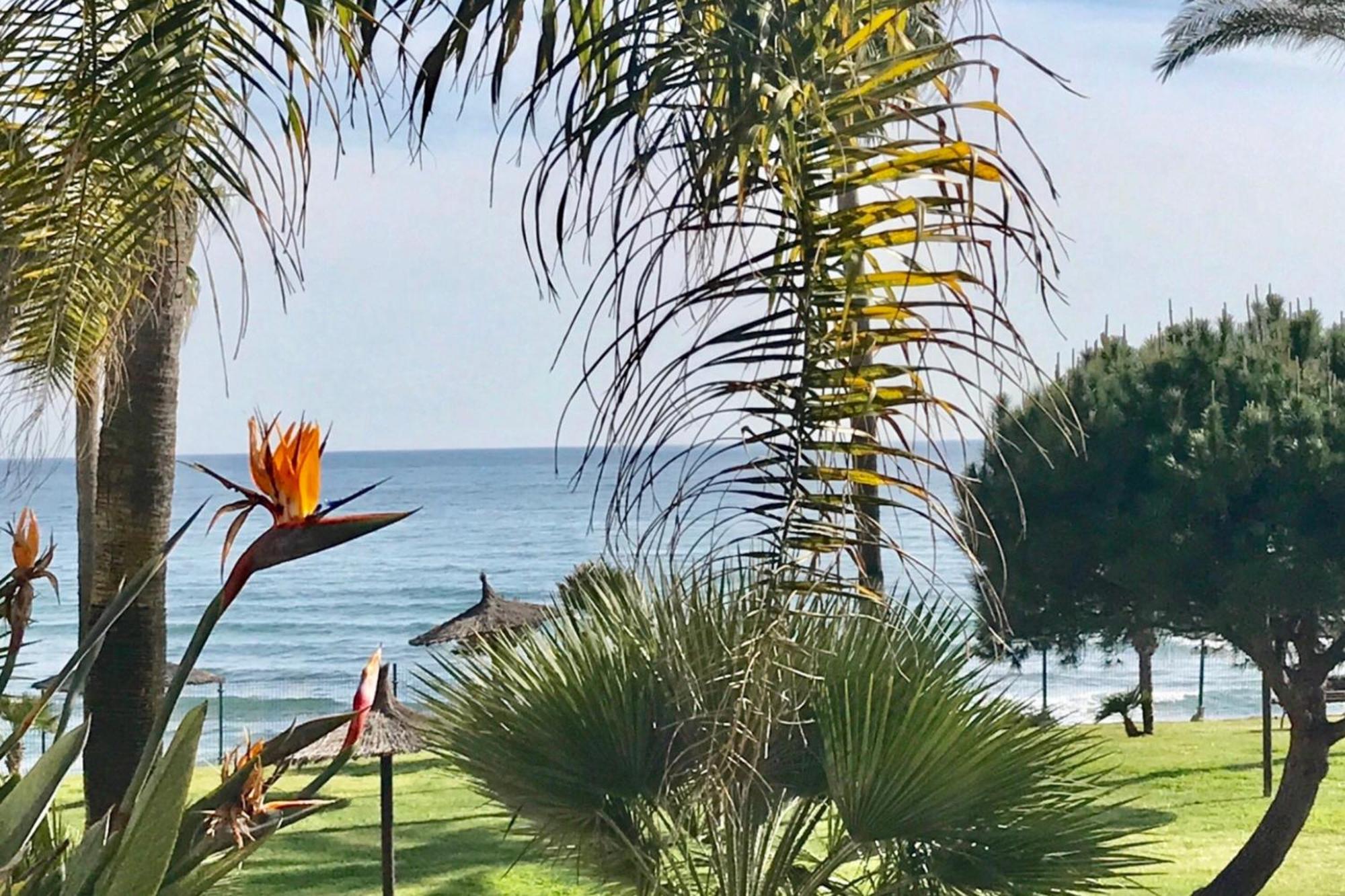 Mi Capricho 2D Beachfront- Apartment With Sea View - Costa Del Sol Sitio de Calahonda Eksteriør billede