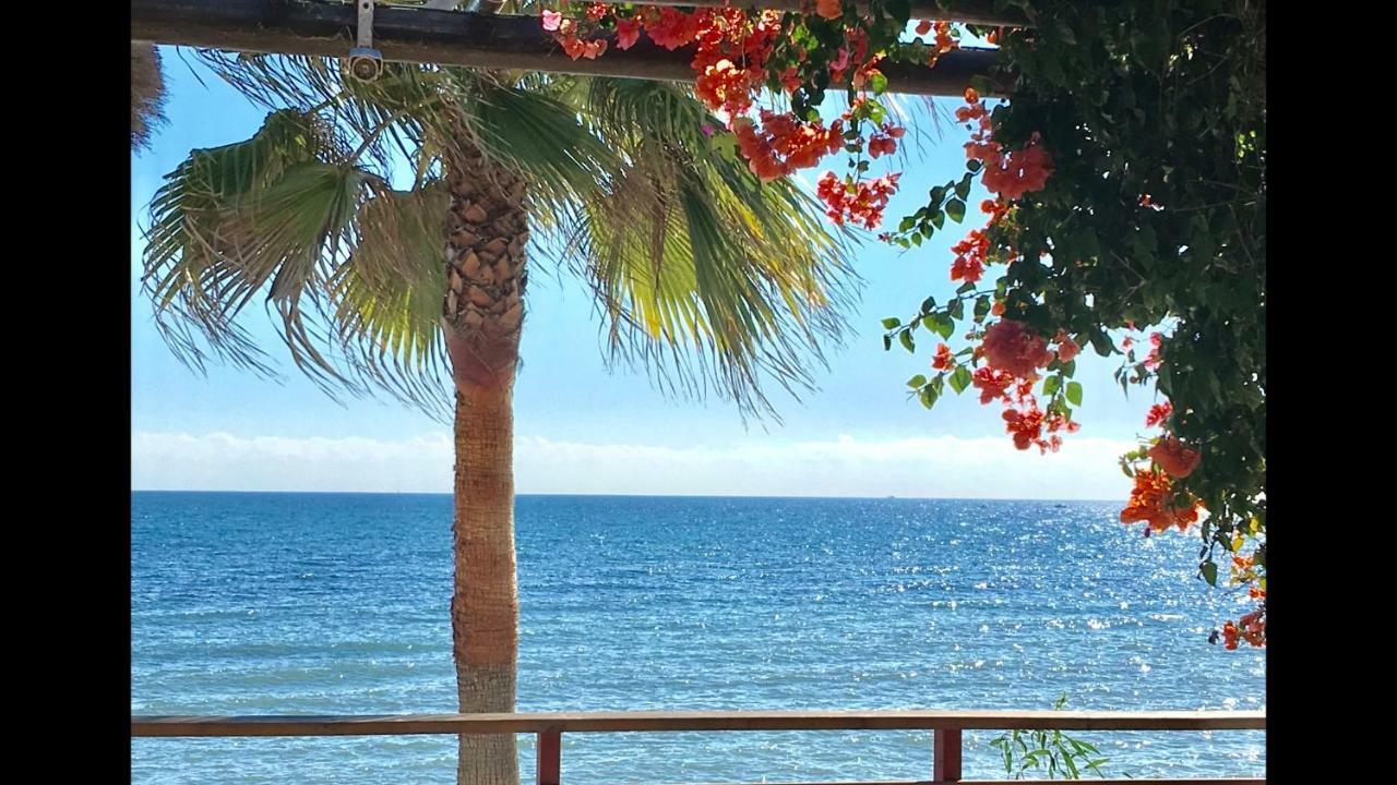 Mi Capricho 2D Beachfront- Apartment With Sea View - Costa Del Sol Sitio de Calahonda Eksteriør billede